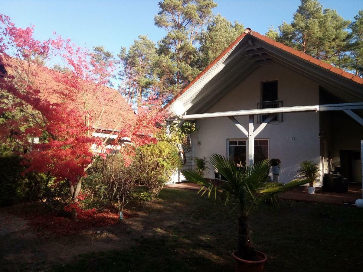 Silz  Ferienhaus Am Fleesensee מראה חיצוני תמונה